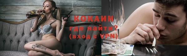 стафф Алексин